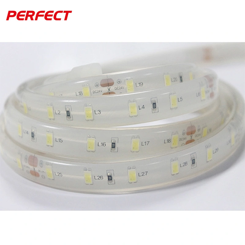 Underwater Flexible LED Strip 5630 IP68 60LEDS/M CE RoHS LED strip tape light