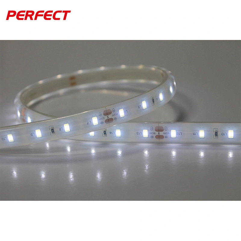 Underwater Flexible LED Strip 5630 IP68 60LEDS/M CE RoHS LED strip tape light