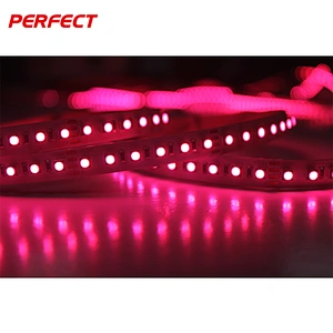IP68 Waterproof swimming pool dc 24v 3 in 1 RGB 120leds/m 3535 4040 flexible led strip lighting