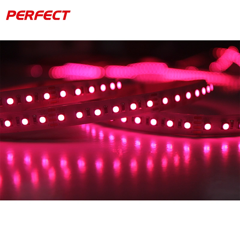 IP68 Waterproof swimming pool dc 24v 3 in 1 RGB 120leds/m 3535 4040 flexible led strip lighting