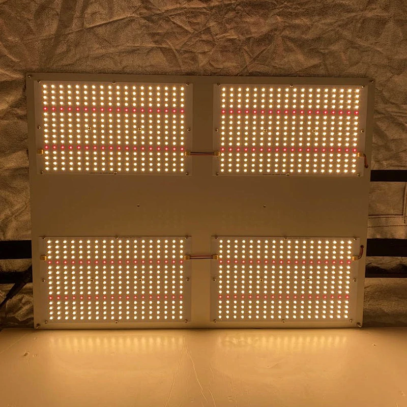 2020 Newest  480W Wifi Control LED Grow Light With Full Spectrum For Plants Greenhouse
