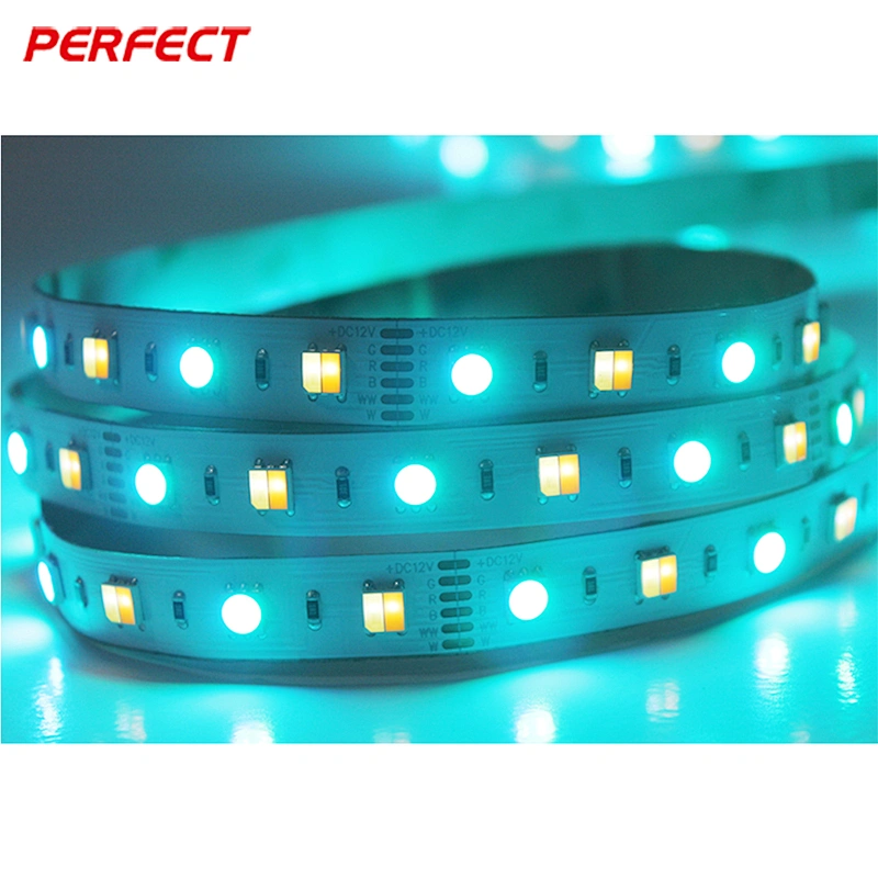 3 years warranty RGB+CCT wrgbw 5050 color temperature adjustable flex led strip