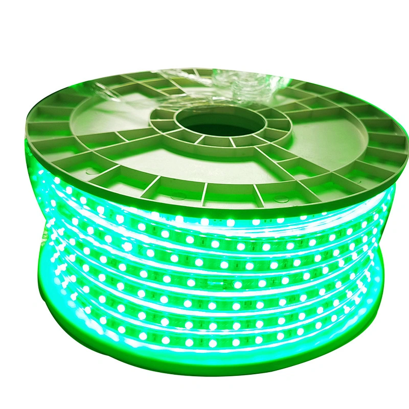 100M Waterproof 220v smd rgb led 5050 strip with power plug 24key remote control