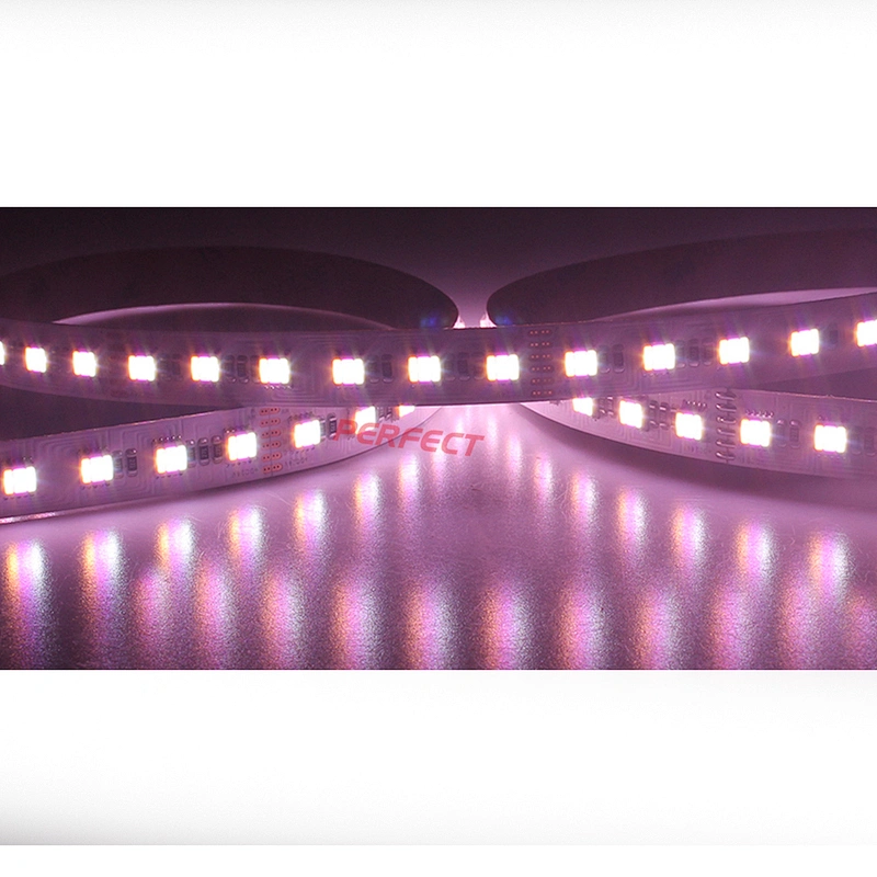 RGB +WW+W flexible led strip lights DC12V 24V 5in1 LED rgb white warm white CCTcolor changing led tape stripe