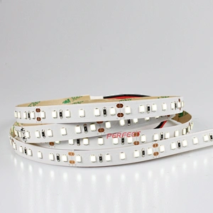 High Efficiency Strisce LED Cinta De Luces LED DC 24V Warm White White SMD 2835 Flexible LED Strip