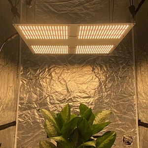 2020 Newest  480W Wifi Control LED Grow Light With Full Spectrum For Plants Greenhouse