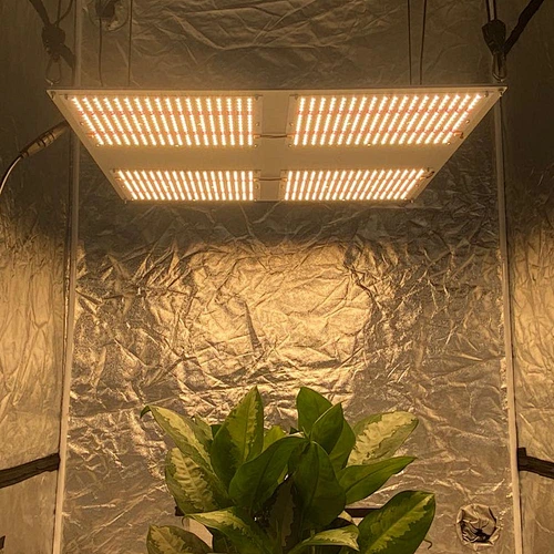 2020 Newest  480W Wifi Control LED Grow Light With Full Spectrum For Plants Greenhouse
