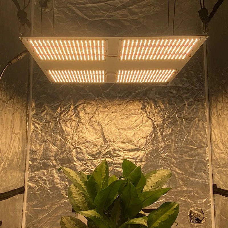 2020 Newest  480W Wifi Control LED Grow Light With Full Spectrum For Plants Greenhouse
