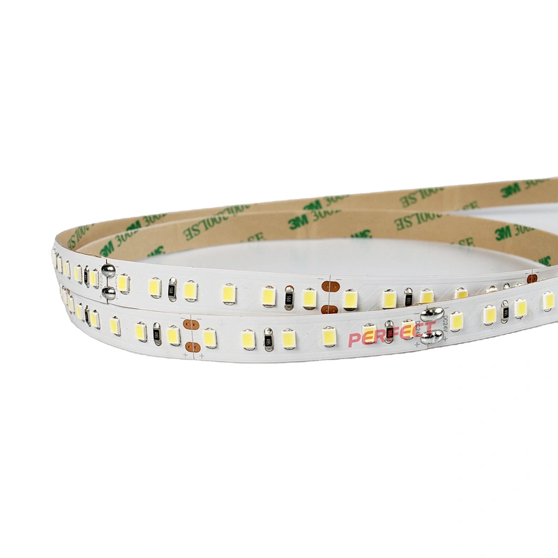 High Efficiency Strisce LED Cinta De Luces LED DC 24V Warm White White SMD 2835 Flexible LED Strip