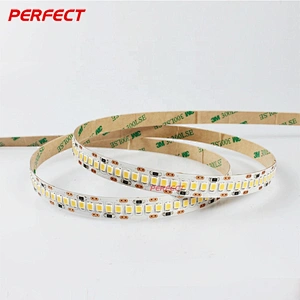 Super Bright 24 Volt 240 leds/m Warm White SMD 2835 LED Strip Lighting