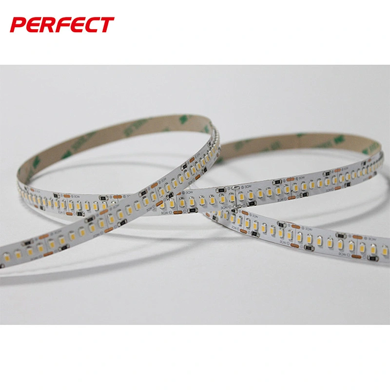 28.8w/m led strip light smd3020 intertek led lighting strips 240leds/m with 3 years warranty