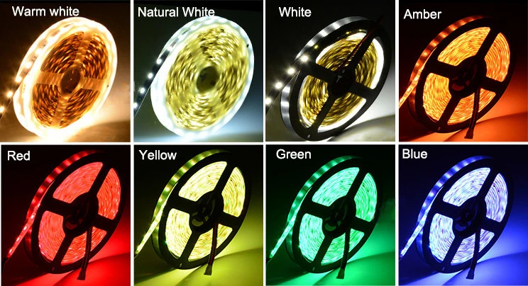 3OZ PCB SMD5050 ww rgb cw DC12v/24v 60leds 5in1 rgb cct led strips ip50/67