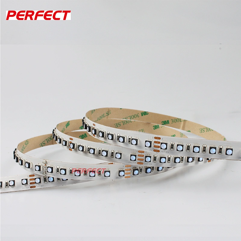 5M SMD3535 3528 5050 4040 4020 RGB  600 Led Waterproof IP65 flexible led Strip light with rgb controller