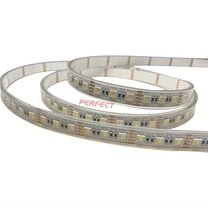 Waterproof IP65 SMD5050 RGBW/WW/RGB/ws2813 LED Light Strip cct with Remote Control