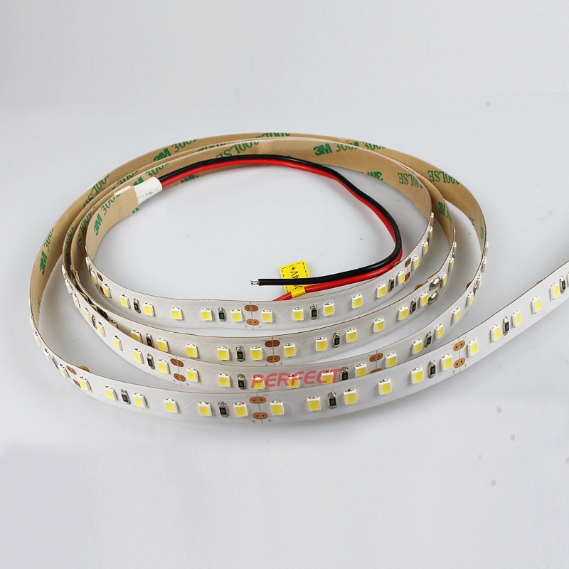 High Efficiency Strisce LED Cinta De Luces LED DC 24V Warm White White SMD 2835 Flexible LED Strip