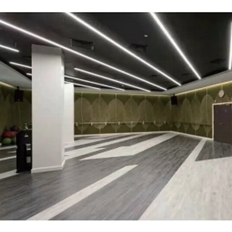 Factory Price Aluminum Extrusion LED Profile for Outdoor Waterproof LED Strips Lights