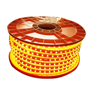 100M Waterproof 220v smd rgb led 5050 strip with power plug 24key remote control
