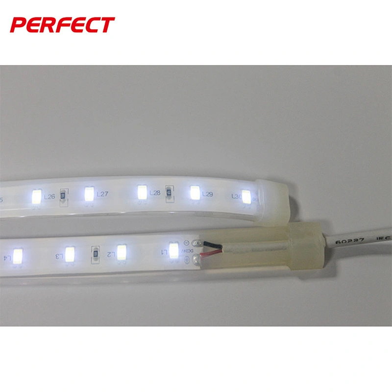 Underwater Flexible LED Strip 5630 IP68 60LEDS/M CE RoHS LED strip tape light