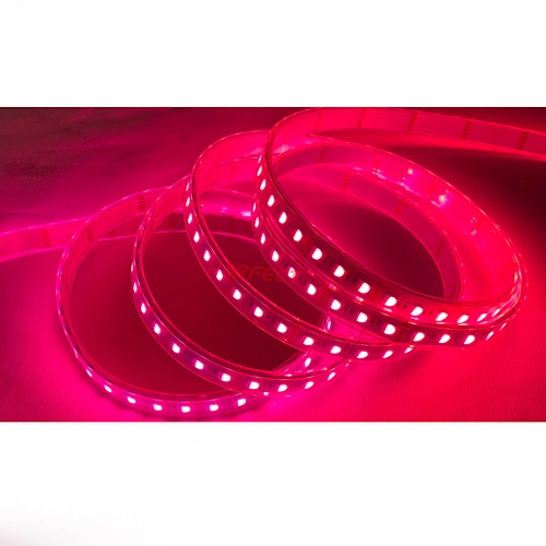 Waterproof IP65 SMD5050 RGBW/WW/RGB/ws2813 LED Light Strip cct with Remote Control