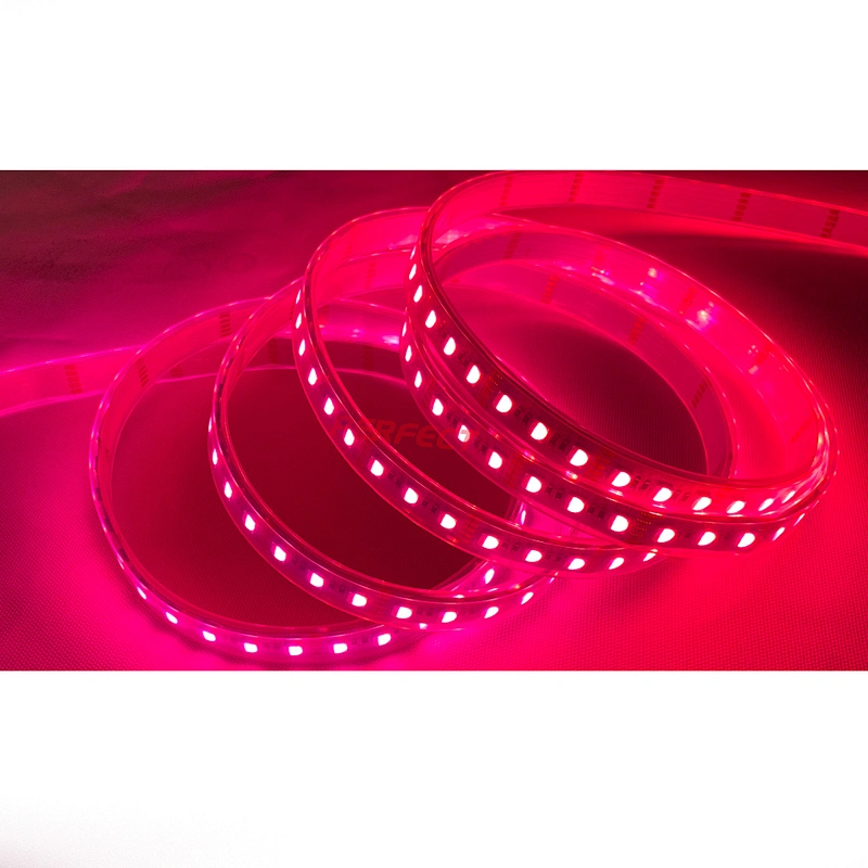 Waterproof IP65 SMD5050 RGBW/WW/RGB/ws2813 LED Light Strip cct with Remote Control