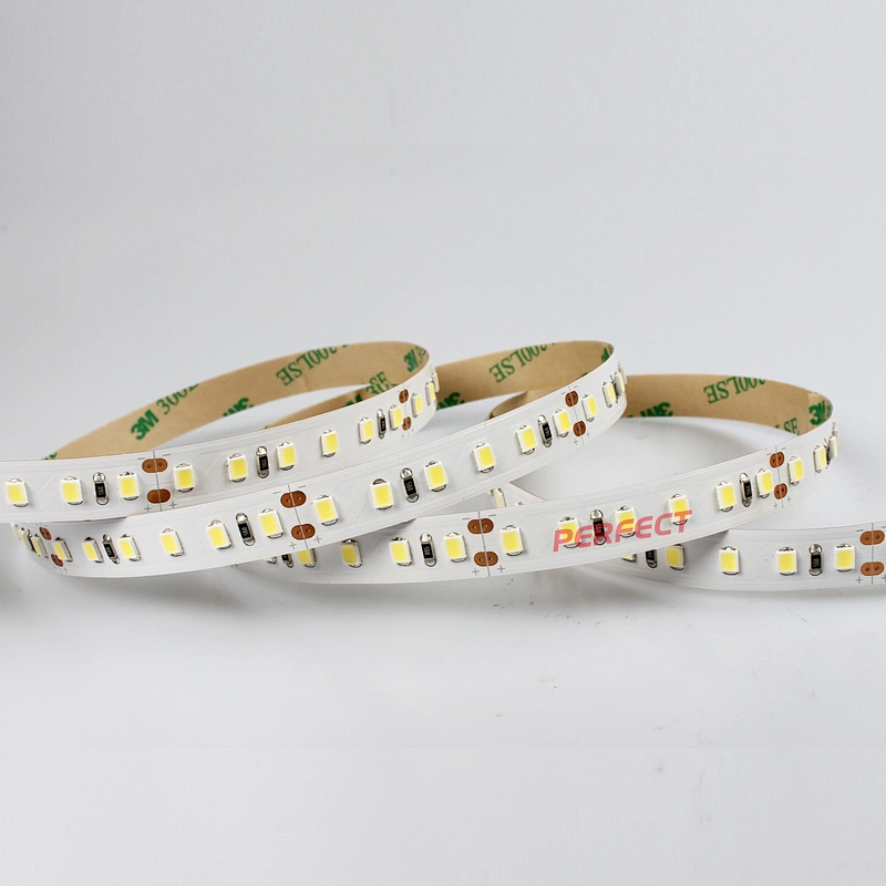 High Efficiency Strisce LED Cinta De Luces LED DC 24V Warm White White SMD 2835 Flexible LED Strip