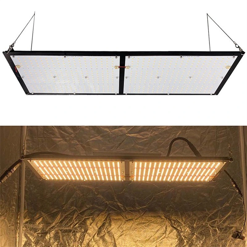 Dimmable Quantum Panel Lm301B + 660nm 240W LED Grow Light for Medical Cbd Plants