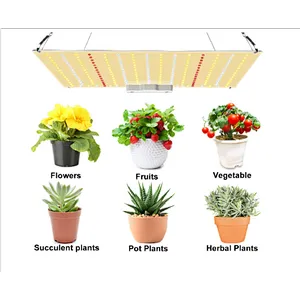240w V4 Sam-sung-lm301b lm301h UV IR full spectrum led grow light for indoor plants
