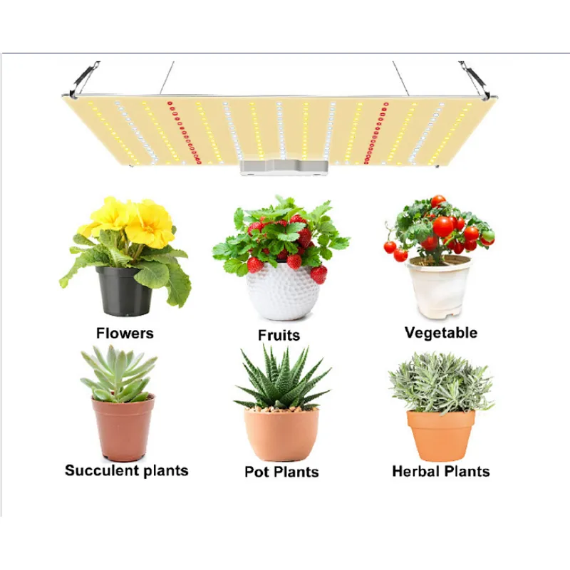 240w V4 Sam-sung-lm301b lm301h UV IR full spectrum led grow light for indoor plants