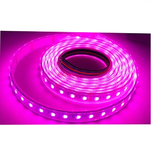 Waterproof IP65 SMD5050 RGBW/WW/RGB/ws2813 LED Light Strip cct with Remote Control