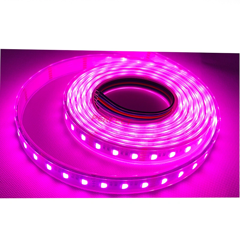 Waterproof IP65 SMD5050 RGBW/WW/RGB/ws2813 LED Light Strip cct with Remote Control