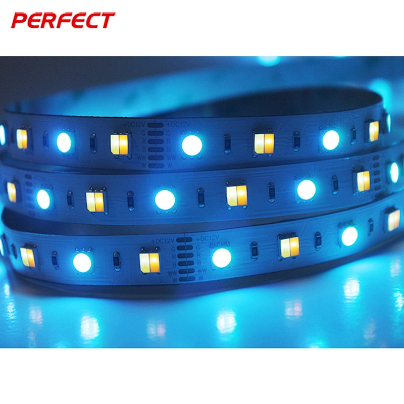 3 years warranty RGB+CCT wrgbw 5050 color temperature adjustable flex led strip