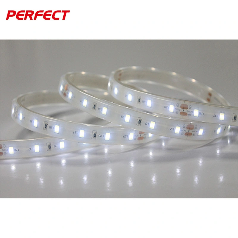 Underwater Flexible LED Strip 5630 IP68 60LEDS/M CE RoHS LED strip tape light