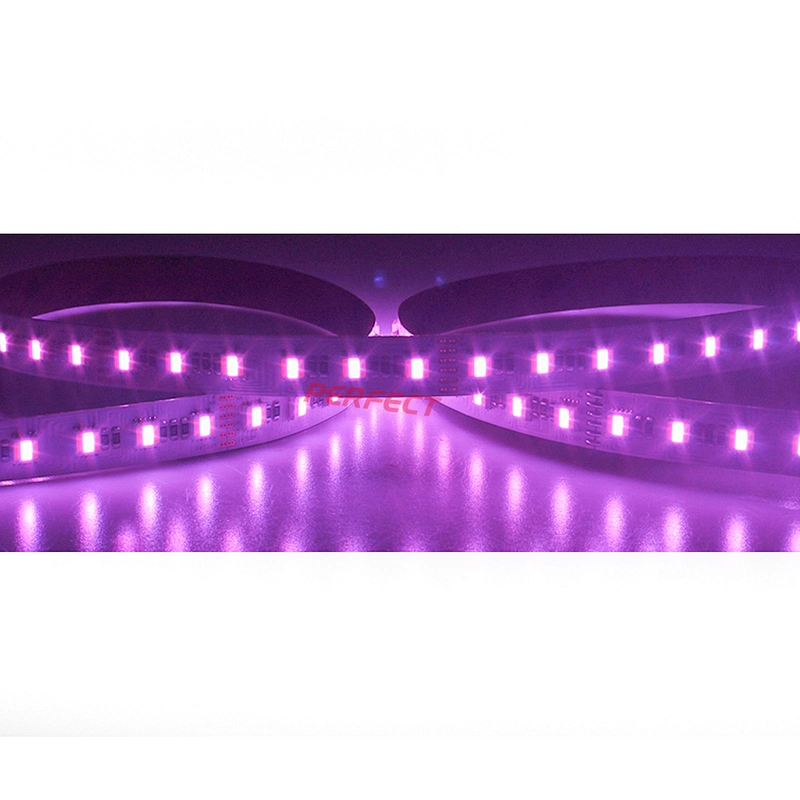 RGB +WW+W flexible led strip lights DC12V 24V 5in1 LED rgb white warm white CCTcolor changing led tape stripe