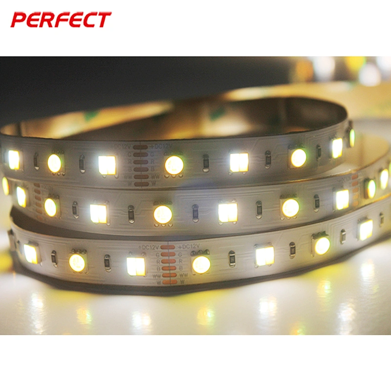 3 years warranty RGB+CCT wrgbw 5050 color temperature adjustable flex led strip