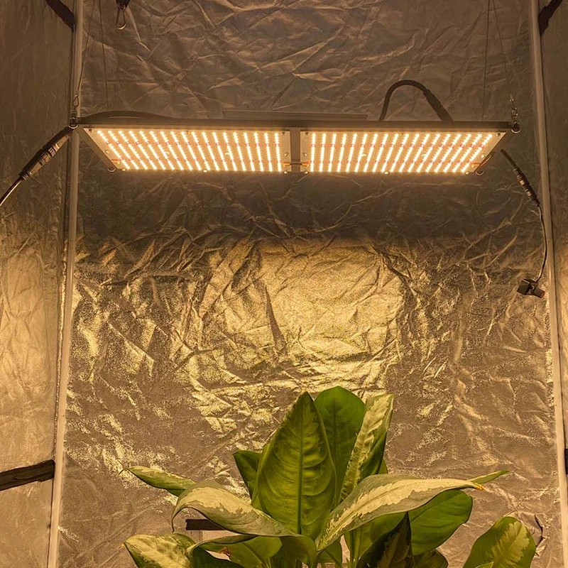 Horticulture lm301b 3000K 3500K DIY 240W Led Grow Light Sam-sung Quantum Led Grow Light Kit