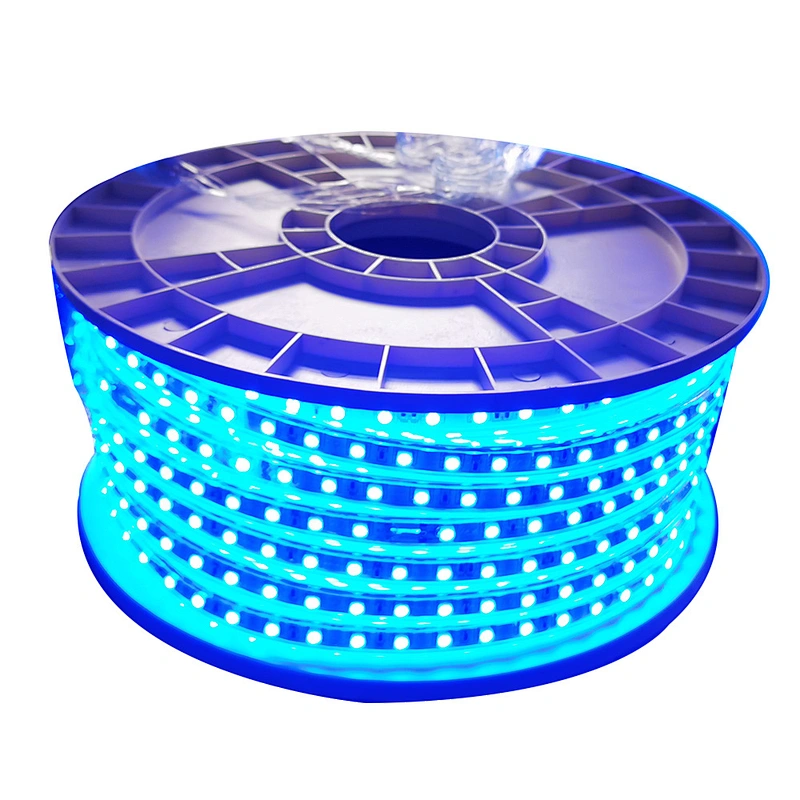 100M Waterproof 220v smd rgb led 5050 strip with power plug 24key remote control