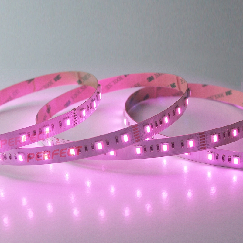 New Arrival 60Leds/m SMD 5050 DC 24V RGB+CCT RGBWW 5 in 1 Flexible LED Strip Light for Decoration