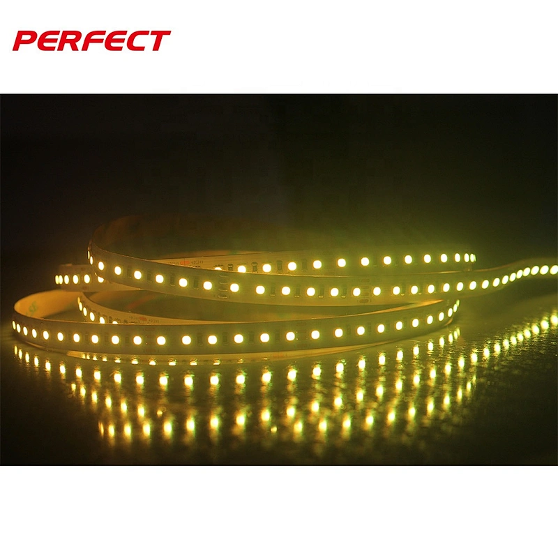 Magic dream color smd 3838 dc 24v colorful waterproof rgb led flexible strip light