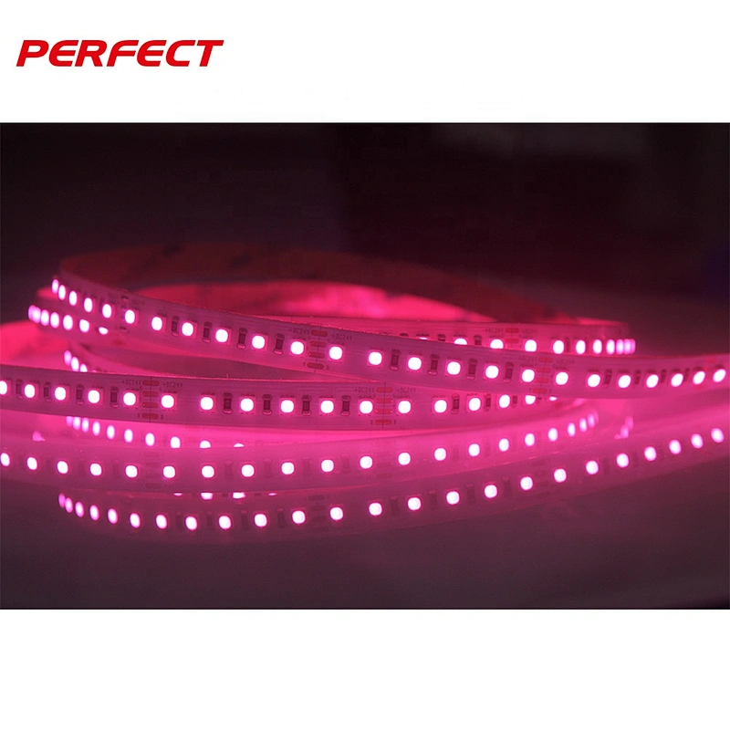 Magic dream color smd 3838 dc 24v colorful waterproof rgb led flexible strip light