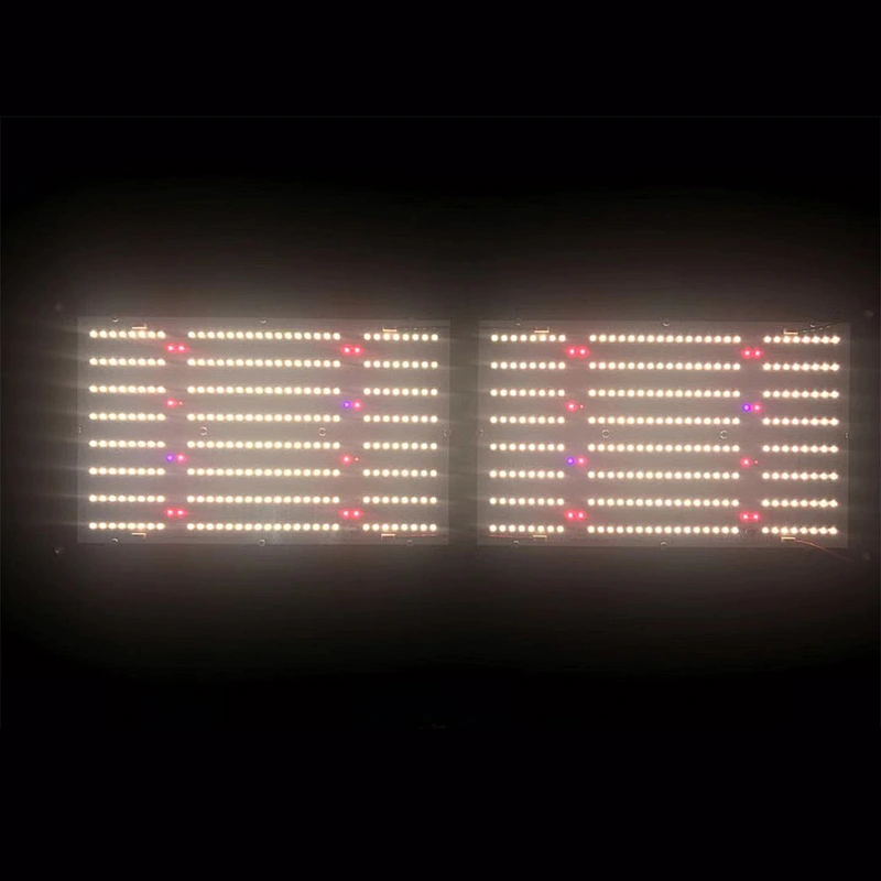 240w V4 Sam-sung-lm301b lm301h UV IR full spectrum led grow light for indoor plants