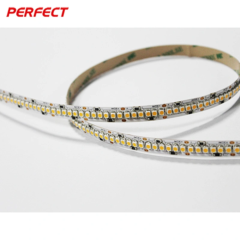 240 leds per meter smd 3528 led strip light 19.2W/M 12v/24v warm white and cool white LED TAPE LIGHT