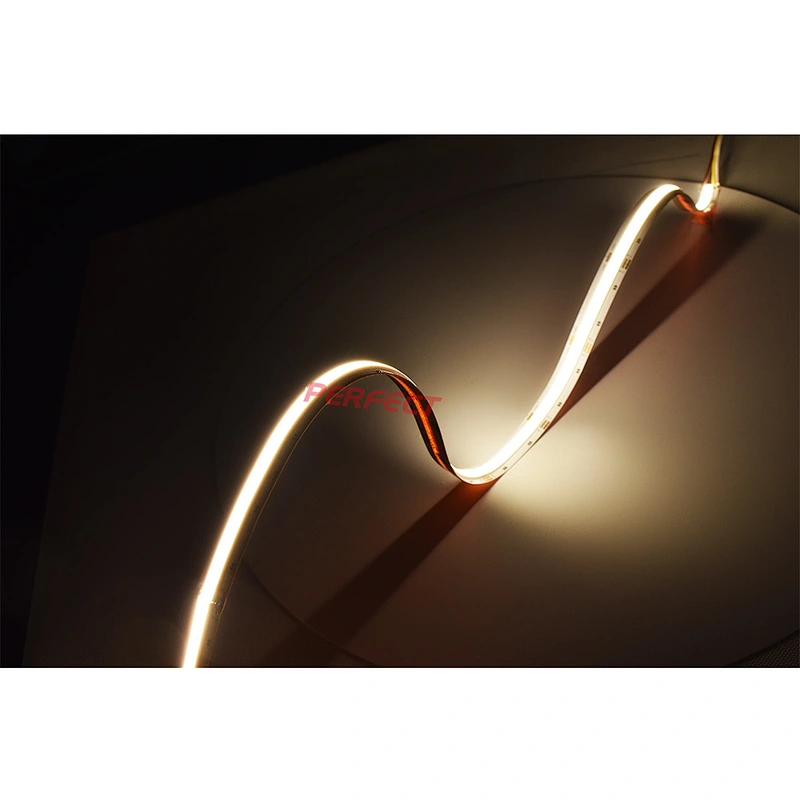 IP67 Waterproof Silicone Tube DC 24V CRI 90 COB Flexible Dual White CCT Adjustable LED Strip Light