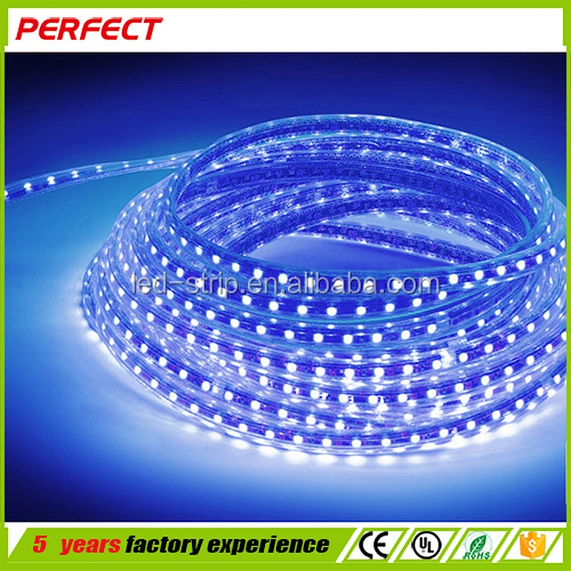 High quality warm white 50m/roll smd2835 220V led strip light with ce rohs