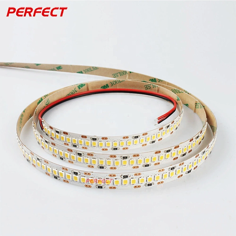 Super Bright 24 Volt 240 leds/m Warm White SMD 2835 LED Strip Lighting