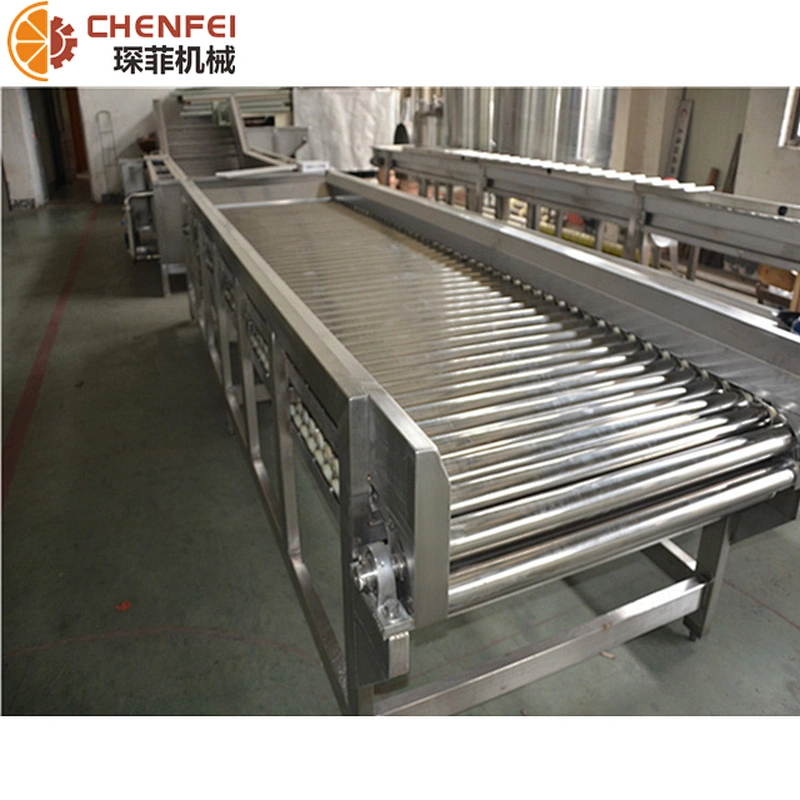 Fruit and Vegetable Sorting Machine Apple Sorting Line Food Sorting Conveyor Machine