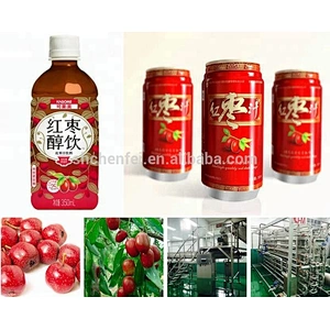 Turnkey NFC concentrated jujube and date fruit juice production line