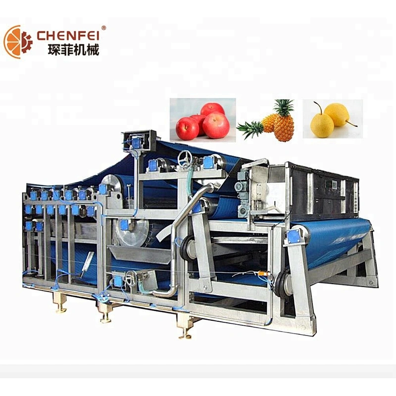 orange apple vinegar mango citrus fruit mini juicer extractor motor processing plant