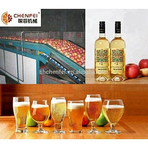 turnkey pear small fruit and vegetable juice processing production line