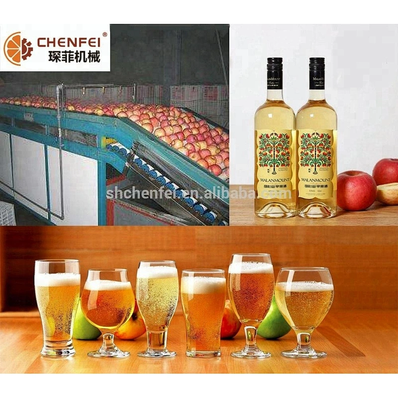 turnkey pear small fruit and vegetable juice processing production line