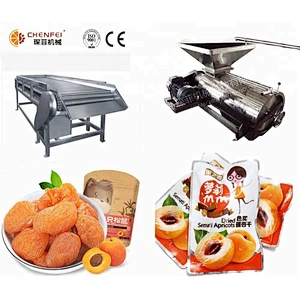 automatic turnkey small fruit and vegetable waxberry juice production line